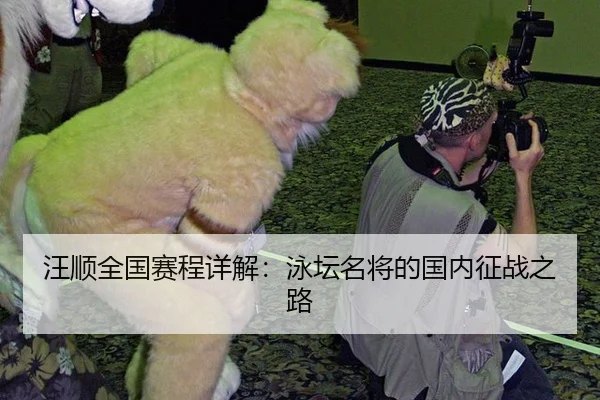 wang-shun-quan-guo-sai-cheng-xiang-jie-yong-tan-ming-jiang-de-guo-nei-zheng-zhan-zhi-lu-2-500.jpg