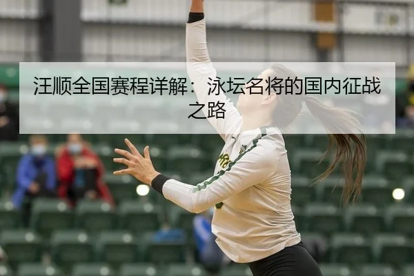 汪顺全国赛程详解：泳坛名将的国内征战之路